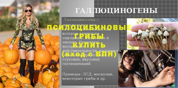 стаф Липки