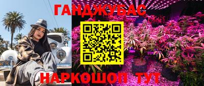 крисы Партизанск