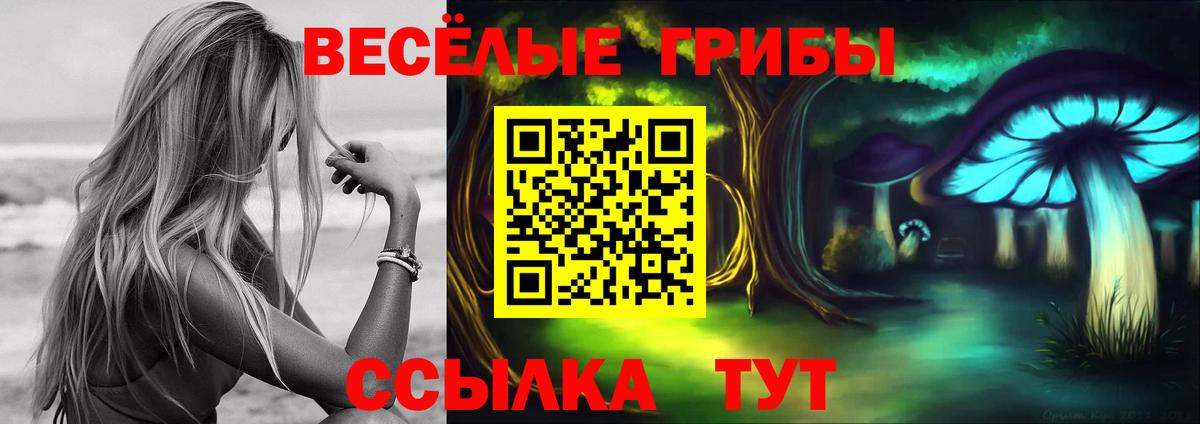Псилоцибиновые грибы Cubensis  Вход с VPN  Мелеуз 