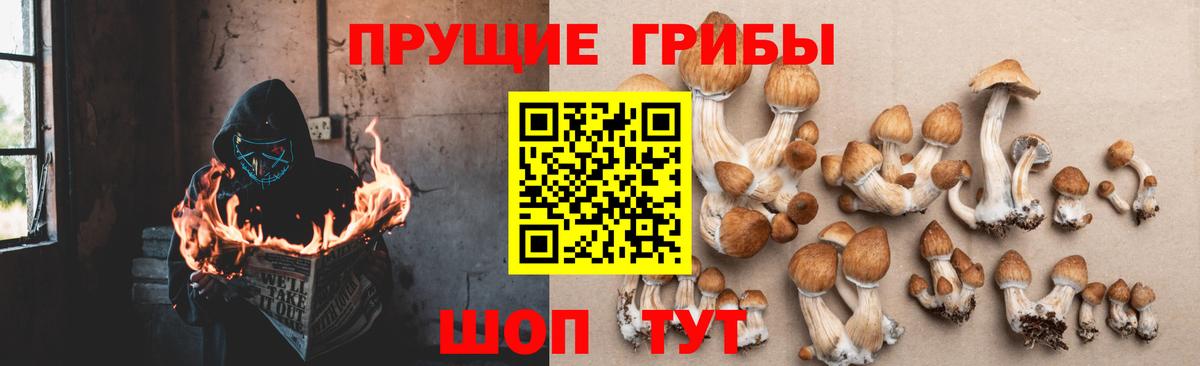 Галлюциногенные грибы Cubensis Мелеуз